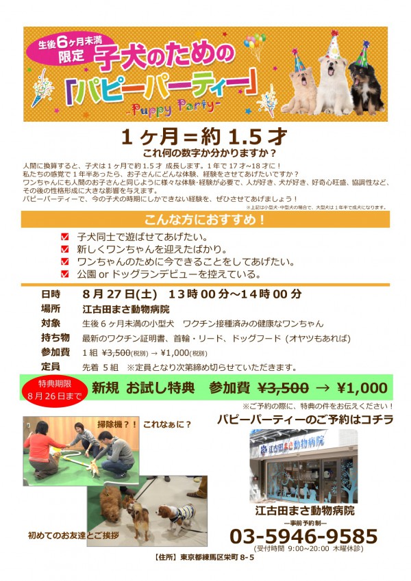 0827EKODAIAH_PuppyParty-001